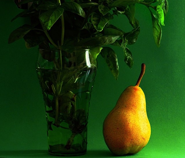 Kalmorentiax galéria 3